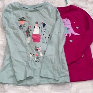 2 piece bundle graphic